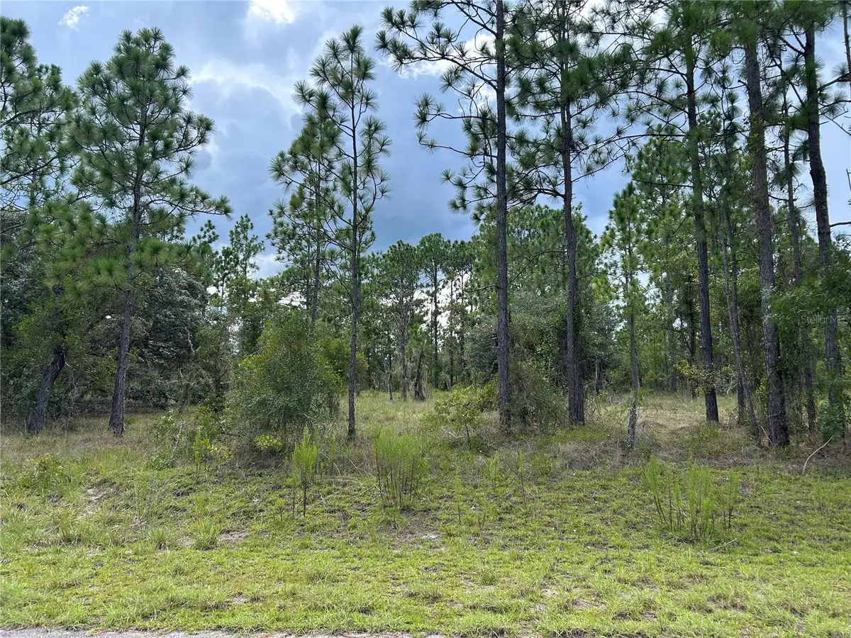 TBD SE 138th Avenue, Dunnellon, FL 34431 - #1