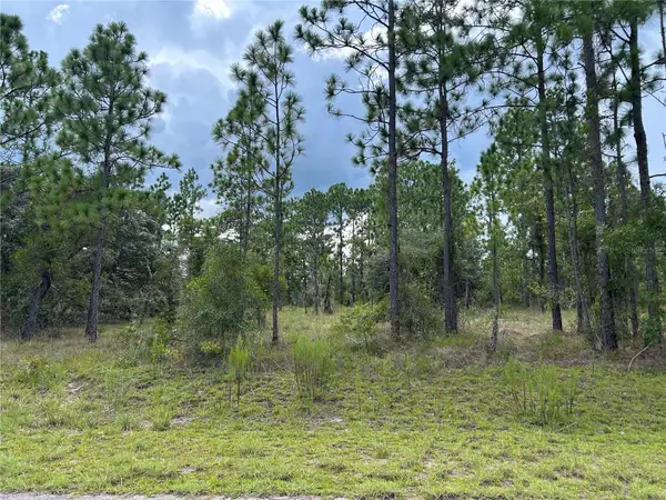 TBD SE 138th Avenue, DUNNELLON, FL 34431