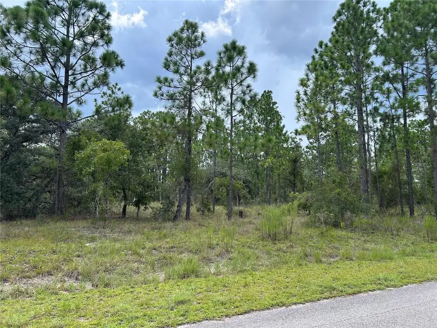 TBD SE 138th Avenue, Dunnellon, FL 34431 - #3