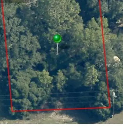 2059 W Paragon Lane, Citrus Springs, FL 34434 - #2