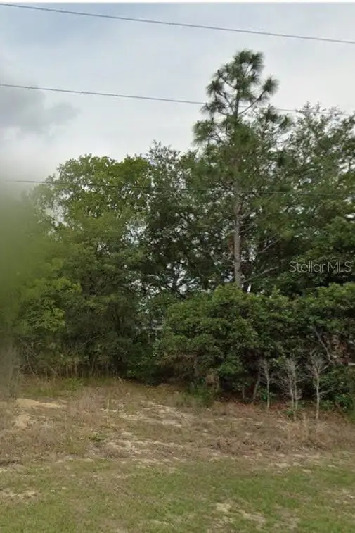 2059 W Paragon Lane, Citrus Springs, FL 34434 - #3