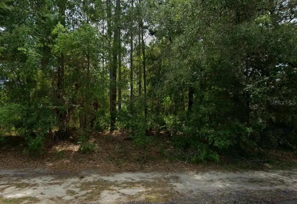 660 W Anderson Lane, Citrus Springs, FL 34434 - #1