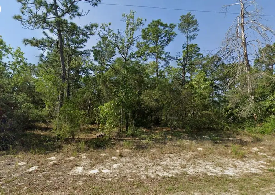 4230 W Fountain Lane, Citrus Springs, FL 34433 - #2
