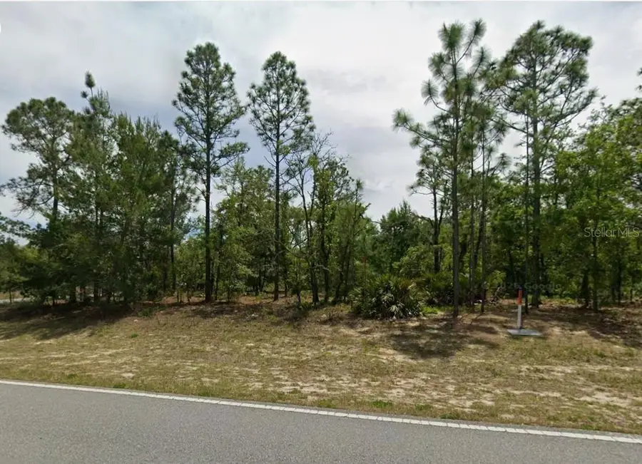 1782 W Hampshire Boulevard, Citrus Springs, FL 34434 - #3