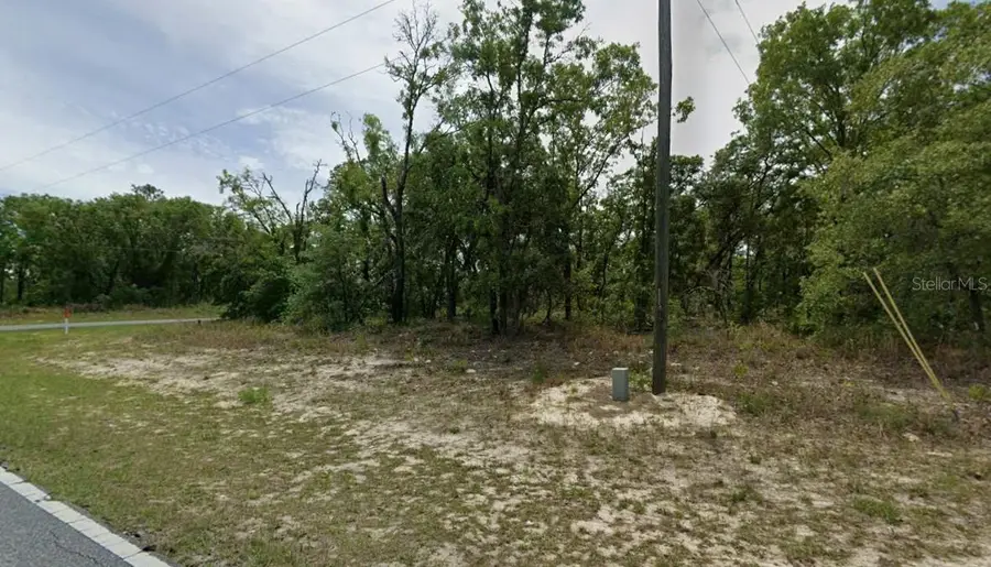 1418 W Hampshire Boulevard, Citrus Springs, FL 34434 - #3