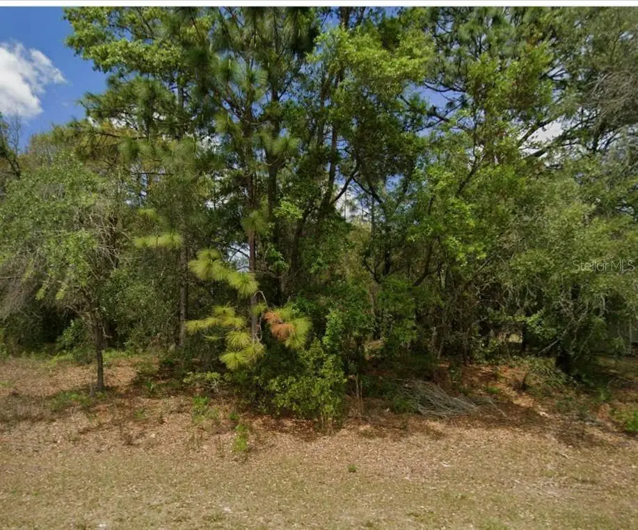 1895 W Hampshire Boulevard, Citrus Springs, FL 34434 - #1
