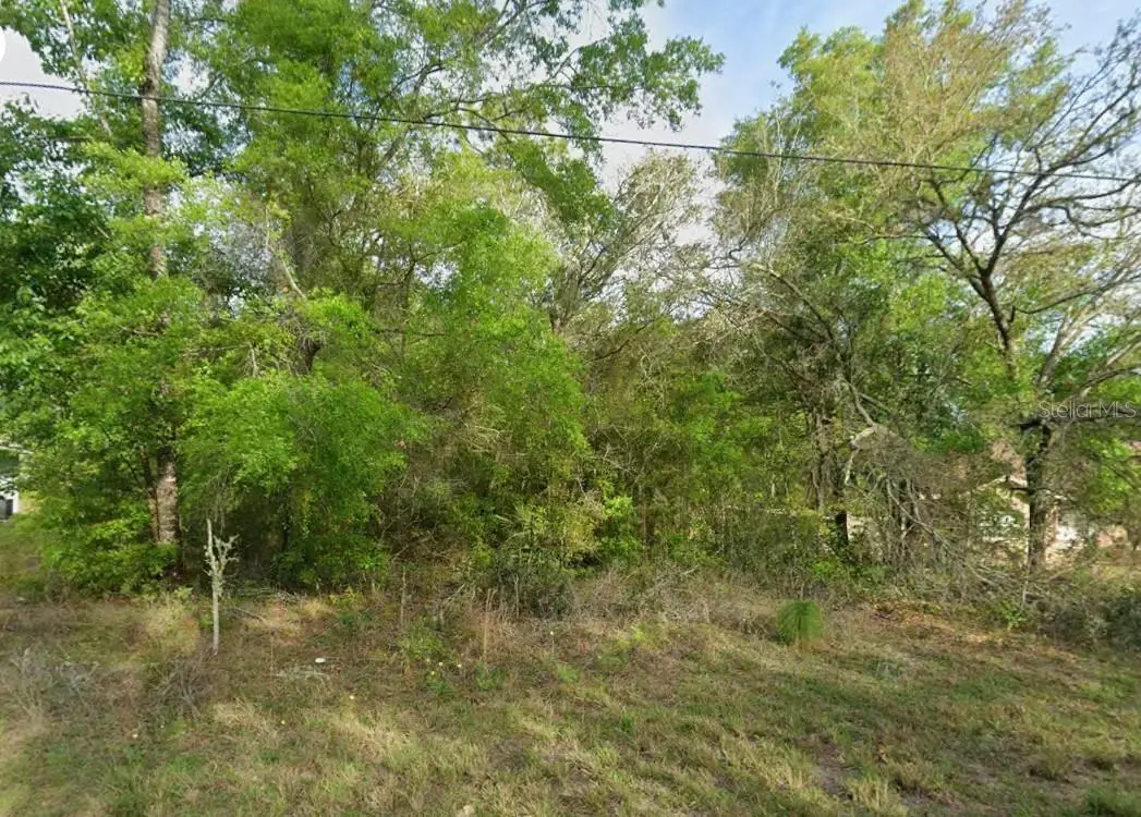 8280 N Galena Avenue, Citrus Springs, FL 34434 - #1