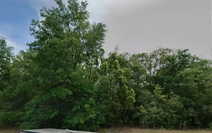 602 W Anderson Lane, Citrus Springs, FL 34434 - #2