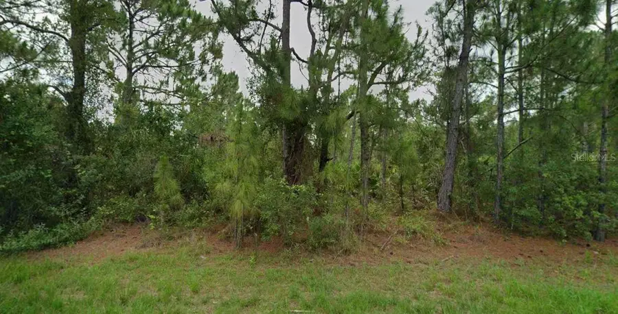Packer Lane, North Port, FL 34291 - #2