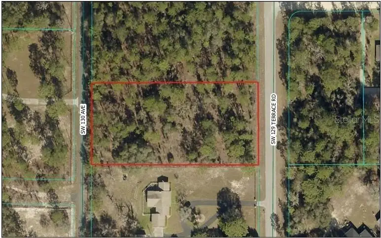 TBD SW 130th Avenue, Dunnellon, FL 34432 - #1