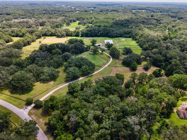 Address Withheld By Seller, NEWBERRY, FL 32669