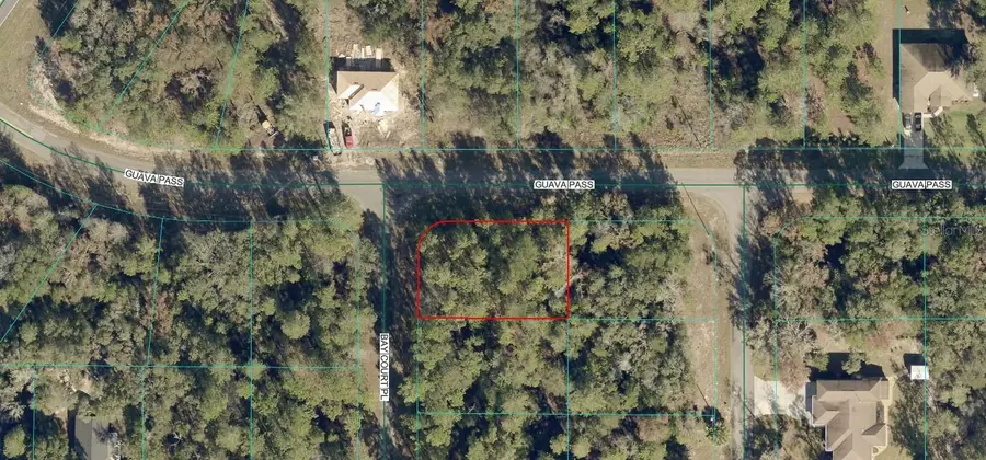 LOT 1 Bay Court Pass, Ocklawaha, FL 32179 - #2