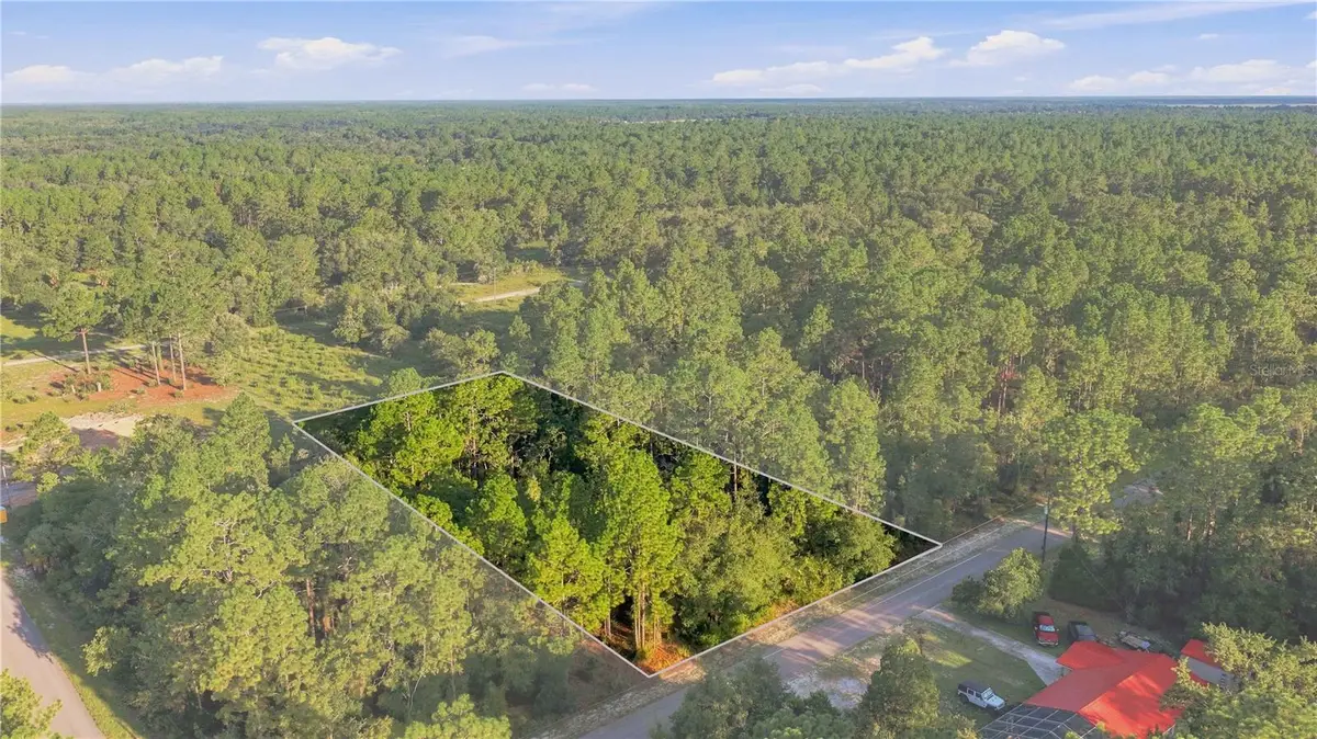 00 SE 133 Avenue, Dunnellon, FL 34431 - #1