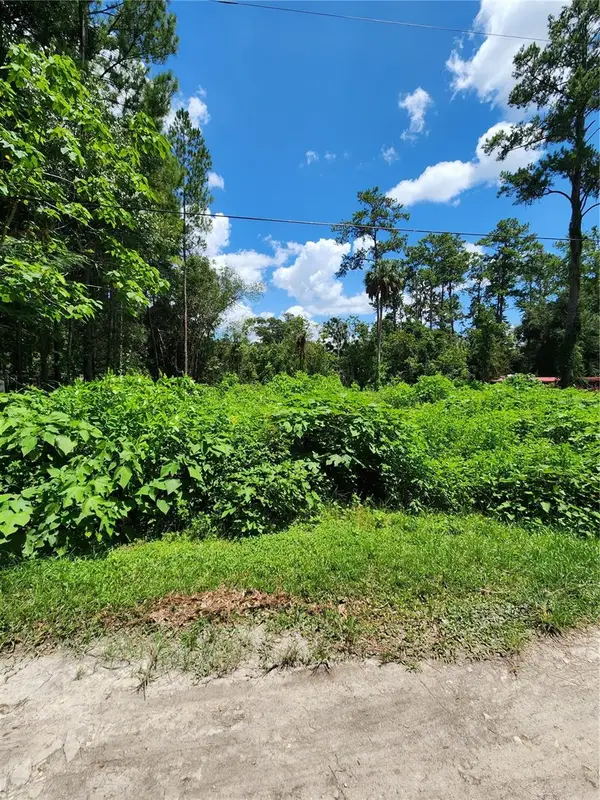 5221 SE 25th Avenue, OCALA, FL 34480