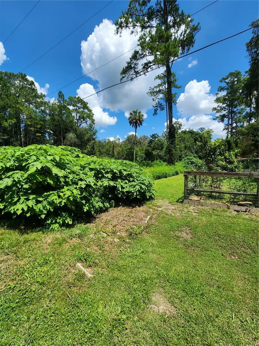 5231 SE 25th Avenue, Ocala, FL 34480 - #1