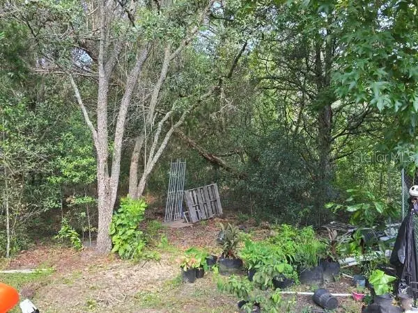720 S Fairlane Terrace, Lecanto, FL 34461 - #3