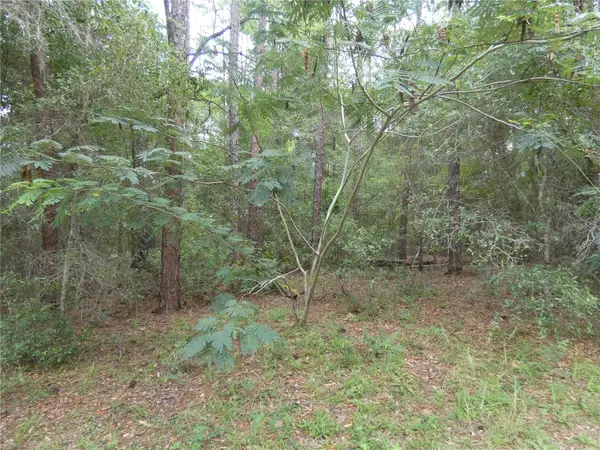 10049 N Biscayne Drive, DUNNELLON, FL 34434