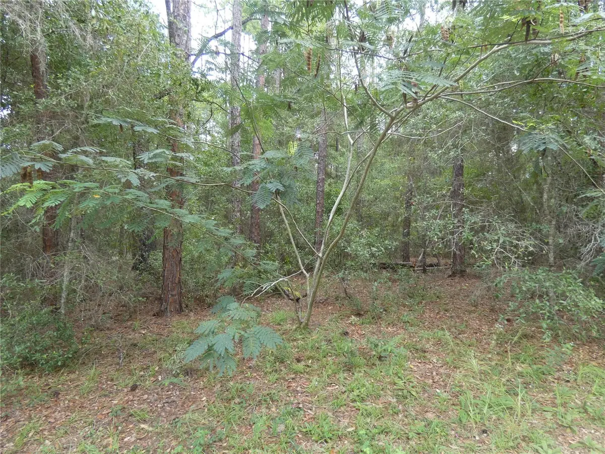 10061 N Biscayne Drive, Dunnellon, FL 34434 - #1