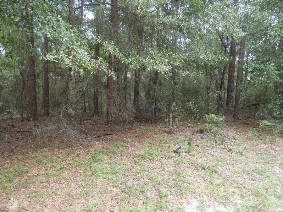10075 N Biscayne Drive, Citrus Springs, FL 34434 - #2