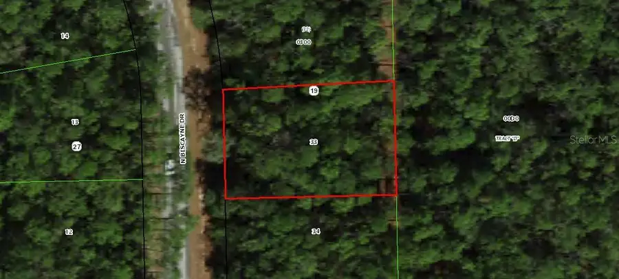 10075 N Biscayne Drive, Citrus Springs, FL 34434 - #3