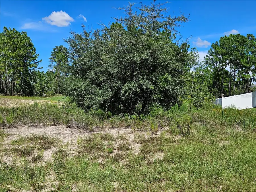 TBD SW 85th Terrace, Ocala, FL 34473 - #2