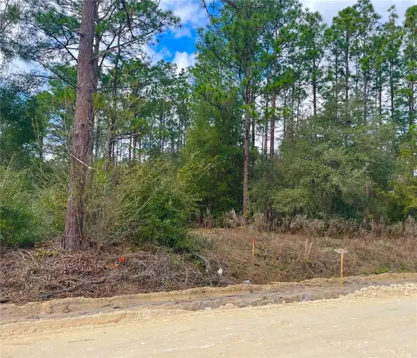 0 Sw 152nd Terrace, OCALA, FL 34481