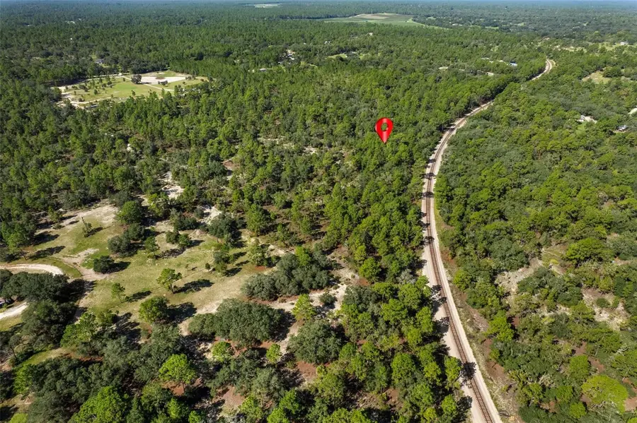 10806 N Statue Point, Dunnellon, FL 34433 - #2