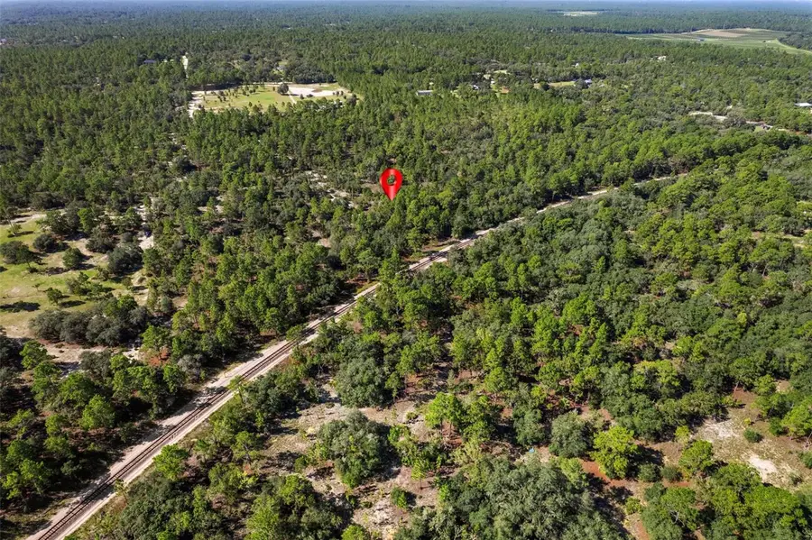 10806 N Statue Point, Dunnellon, FL 34433 - #3