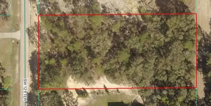Lot 4 N 1/2 SW 121st Terrace, Dunnellon, FL 34432 - #2