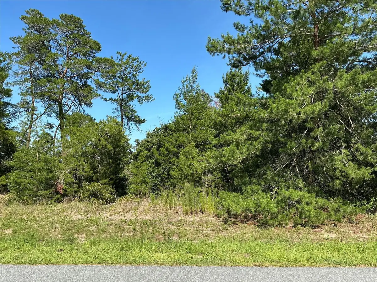 12995 SW 35th Avenue Road, Ocala, FL 34473 - #1