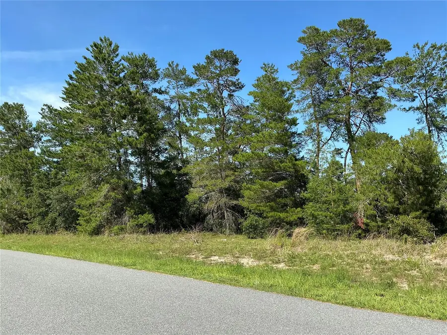 12995 SW 35th Avenue Road, Ocala, FL 34473 - #3