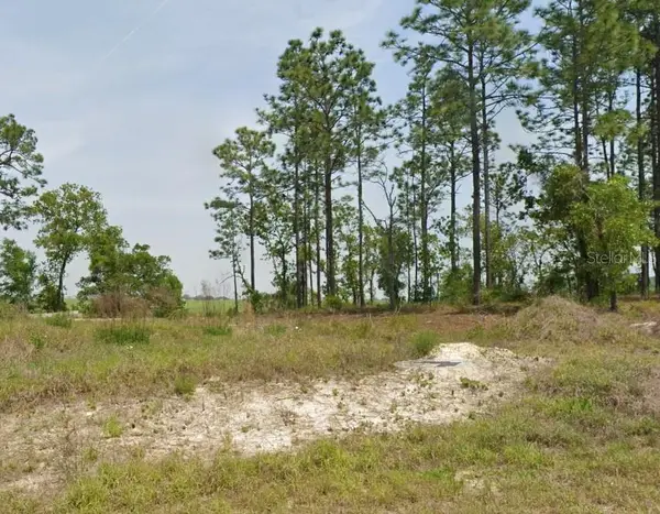 23949 NW Falcon Avenue, DUNNELLON, FL 34431