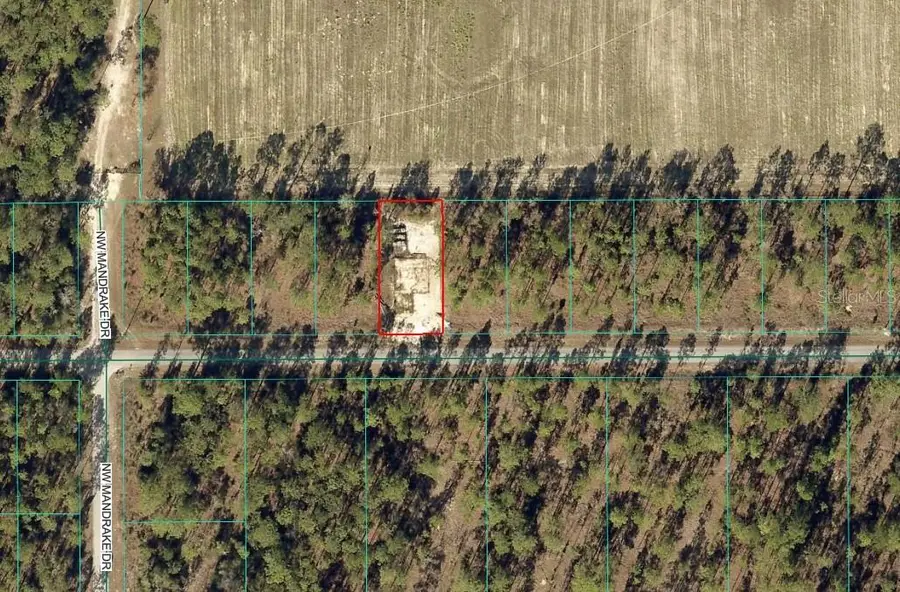 23949 NW Falcon Avenue, Dunnellon, FL 34431 - #2