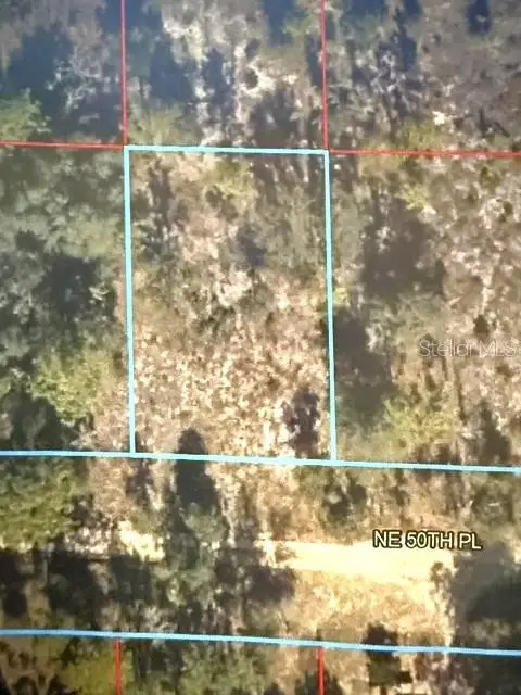 00 NE 50th Place, WILLISTON, FL 32696