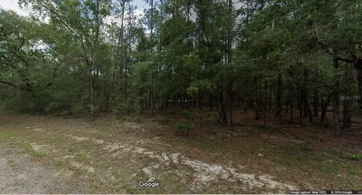 194 E Falcon Street, Citrus Springs, FL 34434 - #1