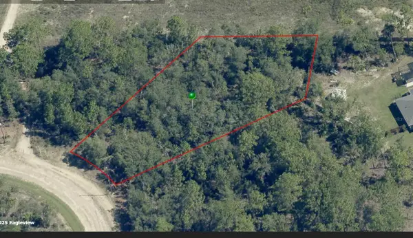 6701 N Darlington Drive, CITRUS SPRINGS, FL 34434