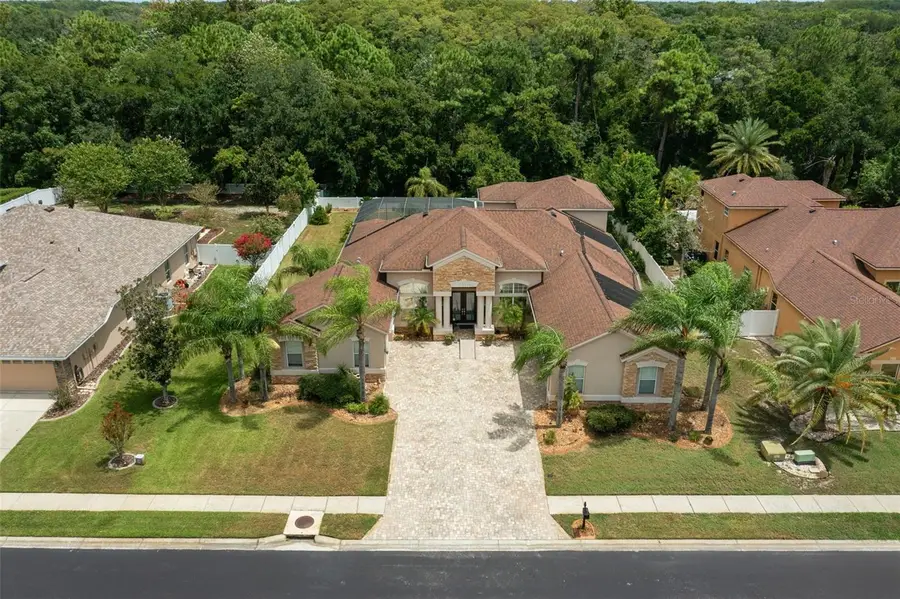 1726 Nodding Thistle Drive, New Port Richey, FL 34655 - #3