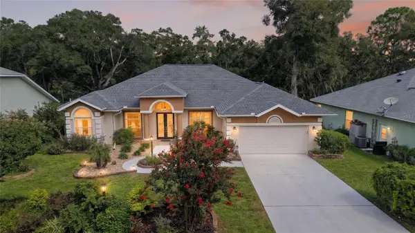 19647 SW 93rd Place, DUNNELLON, FL 34432