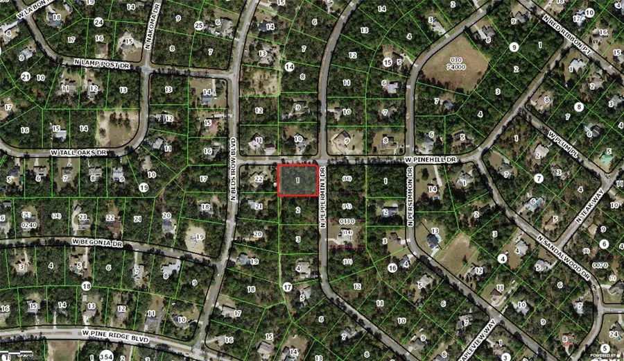 5212 N Peppermint Drive, Beverly Hills, FL 34465 - #2