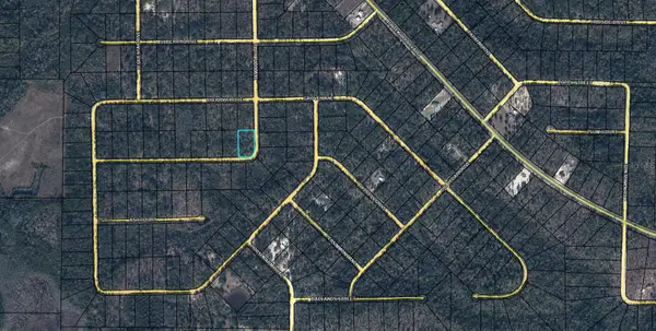 TBD Tamarac Road, MARIANNA, FL 32448