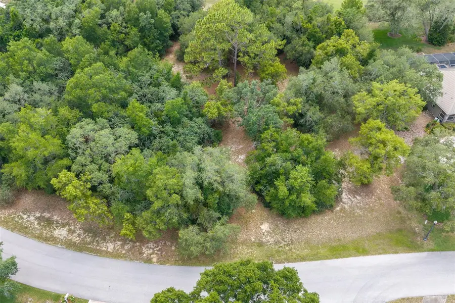4695 N Pine Valley Loop, Lecanto, FL 34461 - #2