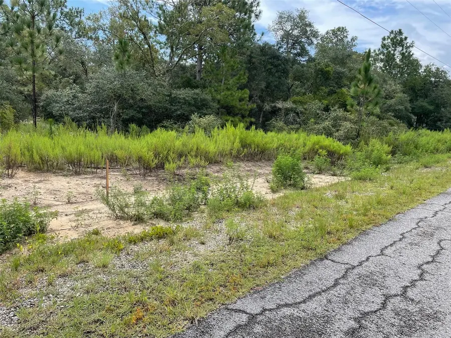 LOT 27 SW Gardenia Court, Dunnellon, FL 34431 - #2