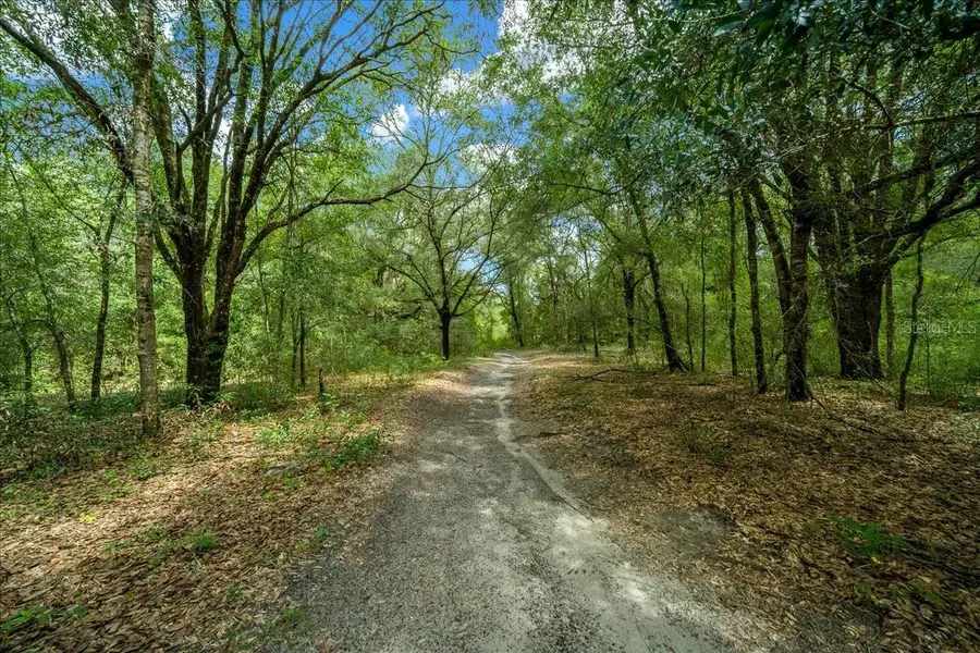 TBD SW 131st Terrace, Dunnellon, FL 34432 - #3