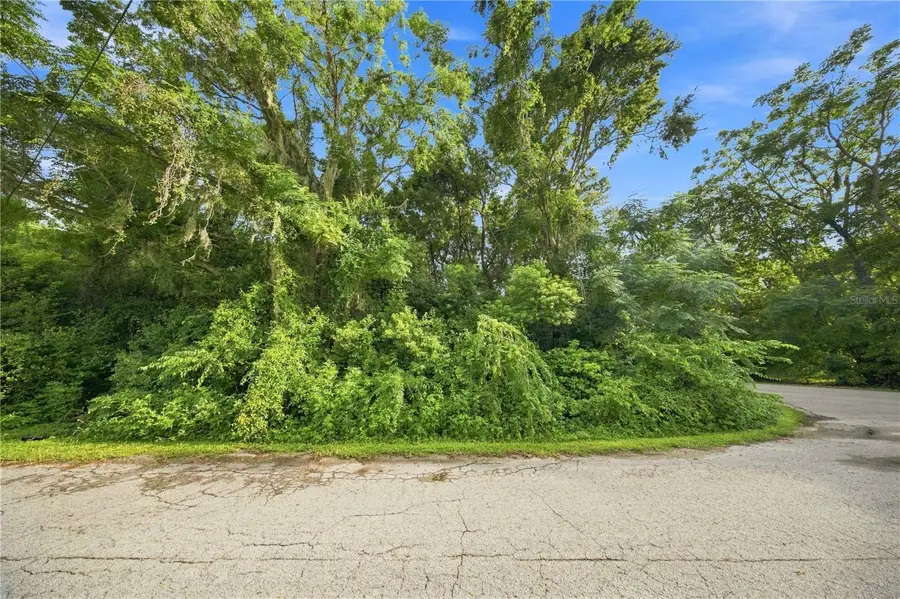 5850 SE 144th Place, Summerfield, FL 34491 - #3