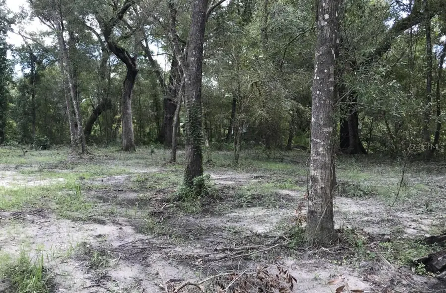 TBD1 SW 129th Boulevard, Webster, FL 33597 - #3