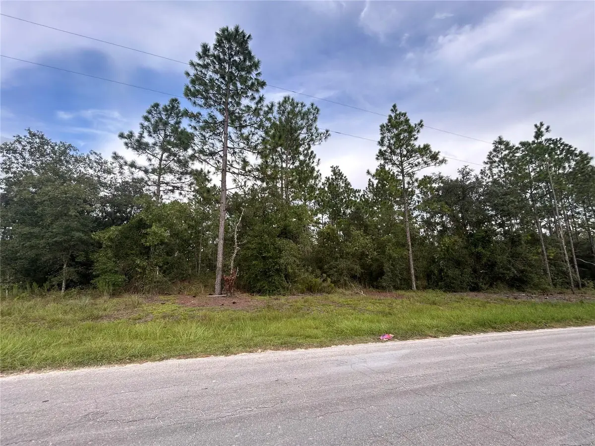 TBD NE 150th Avenue, Williston, FL 32696 - #1