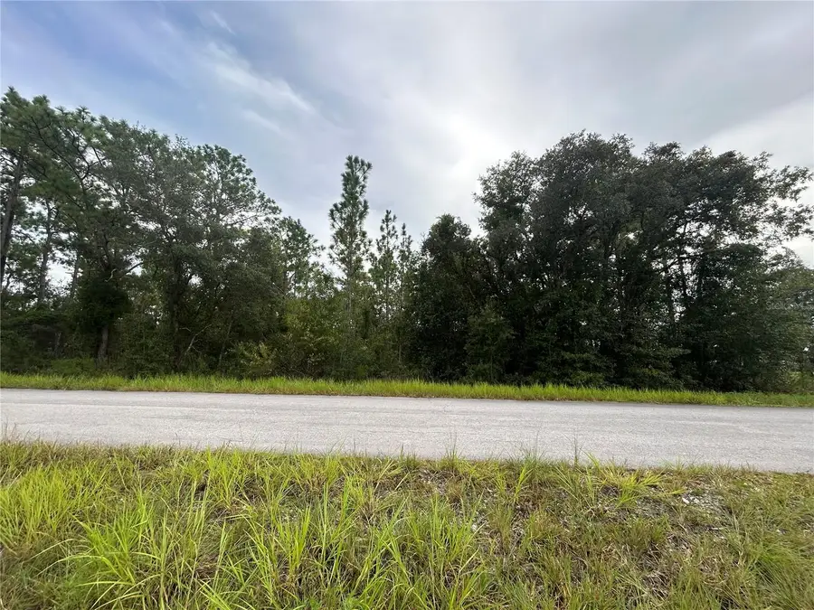 TBD NE 150th Avenue, Williston, FL 32696 - #3