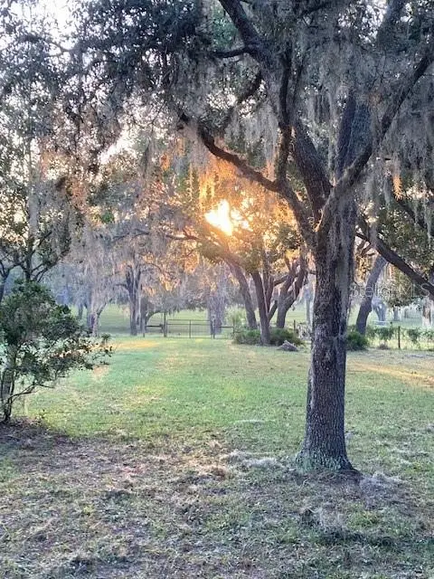 5450 W Knoxville Lane, Dunnellon, FL 34433 - #3