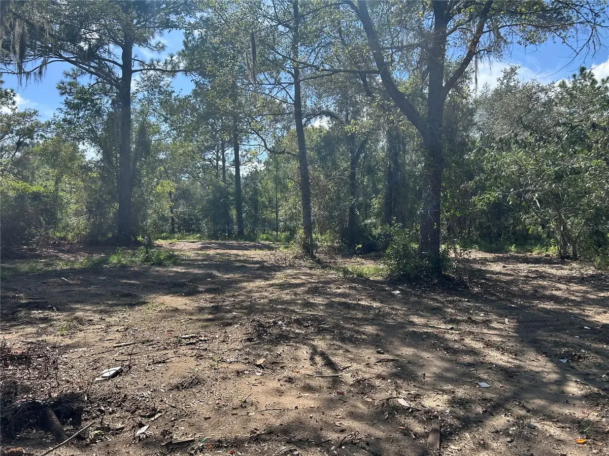 1631 NE 123rd Terrace, Williston, FL 32696 - #1