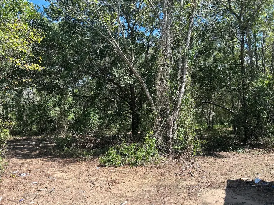 1631 NE 123rd Terrace, Williston, FL 32696 - #2